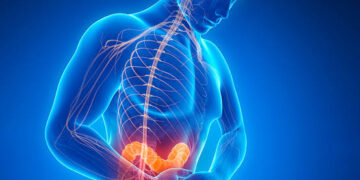 El parkinson podría iniciar en el intestino, no en el cerebro