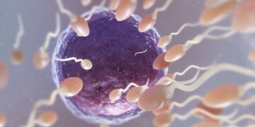 La nueva era de la fertilidad: dos décadas de avances científicos en México. El arte de disfrutar con estilo y sentido.