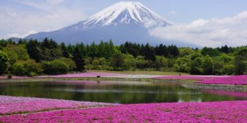 Despegar comparte destinos de montaña, una de las tendencias de viaje para 2026