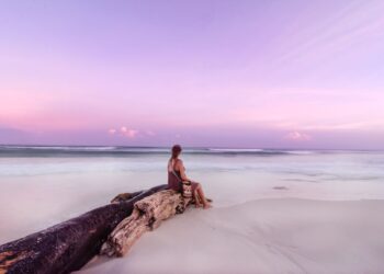 Playa del Carmen apuesta por calidad y sostenibilidad