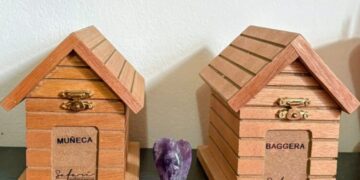 Seguro para mascotas al alza: ¿Vale la pena contratalos? (Video)