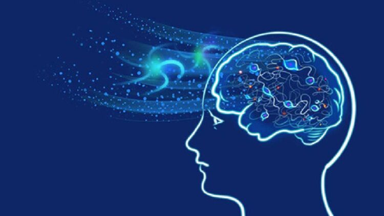 Un simple sonido abre una nueva esperanza contra el Alzheimer, revela estudio chino