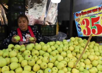 México abre una investigación por posible práctica desleal en importación de manzana de EU