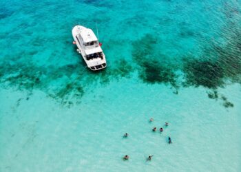 El buceo en Cozumel atrae a viajeros del mundo con experiencias para todos los niveles con Grupo Presidente
