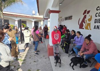 Exitoso arranque de la extensión nororiente del Centro de Control y Bienestar Animal, iniciativa impulsada por Ricardo Moreno