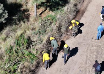 Impulsa alcalde Ricardo Moreno acciones coordinadas para la protección forestal