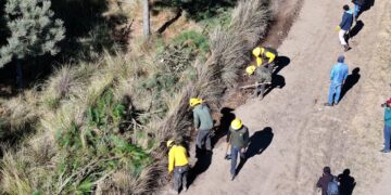 Impulsa alcalde Ricardo Moreno acciones coordinadas para la protección forestal