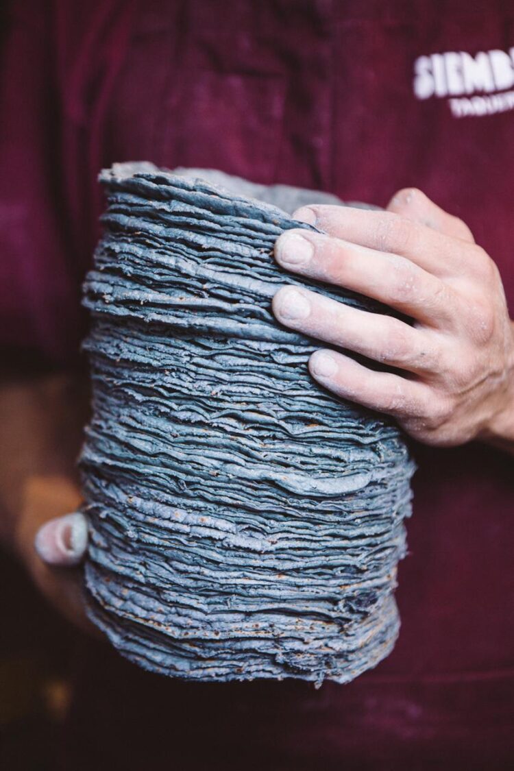 ‘Nativos del maíz’: El Farolito y SIEMBRE rinden homenaje al origen del taco y al maíz mexicano