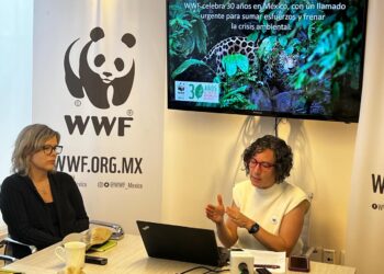 Urge WWF México a multiplicar esfuerzos para frenar la triple crisis ambiental