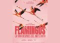 En el Día Mundial de la Naturaleza se anuncia el estreno del documental Flamingos: la vida después del meteorito