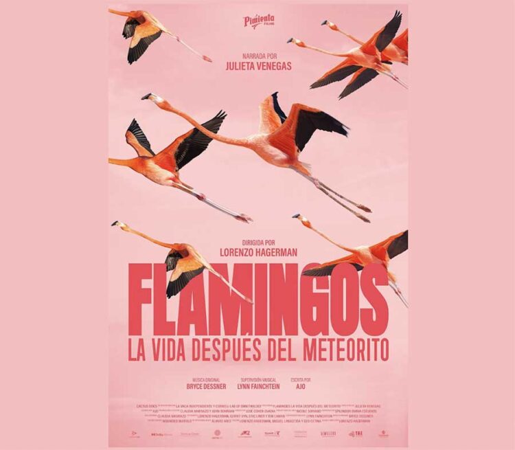 En el Día Mundial de la Naturaleza se anuncia el estreno del documental Flamingos: la vida después del meteorito