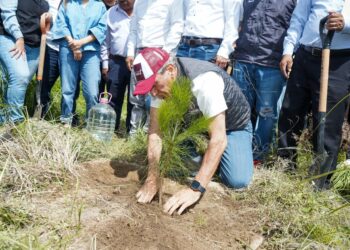 Puebla capital refuerza su compromiso ambiental: meta de plantar 100 mil árboles para 2026