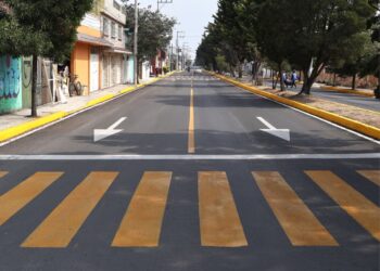 Avanza Toluca en la integración del Atlas Digital de Arbolado Urbano: Ricardo Moreno