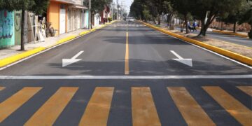 Avanza Toluca en la integración del Atlas Digital de Arbolado Urbano: Ricardo Moreno