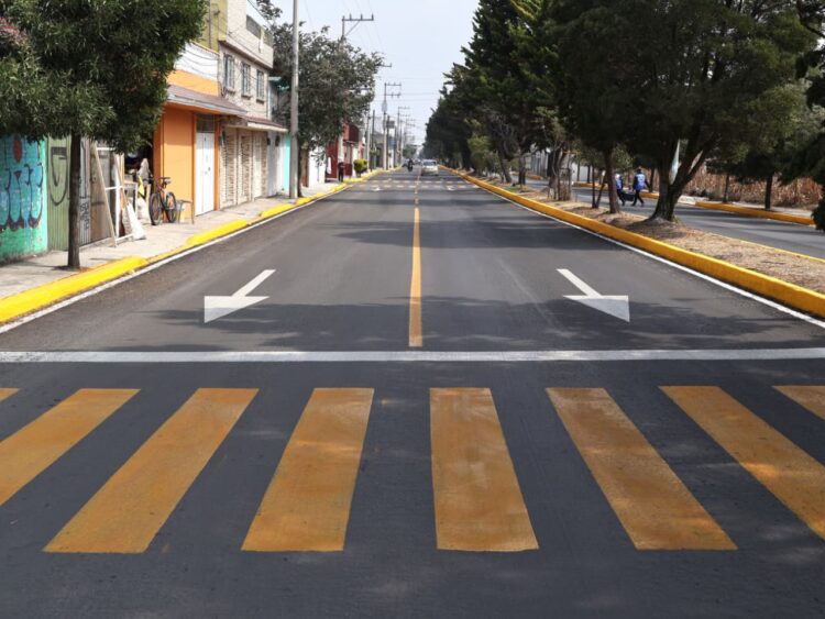 Avanza Toluca en la integración del Atlas Digital de Arbolado Urbano: Ricardo Moreno