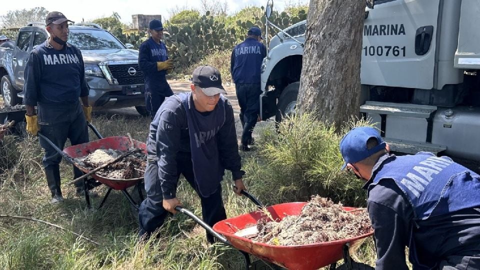 Contaminación alcanza playas de Tuxpan en Veracruz: detectan hidrocarburo a días de Semana Santa