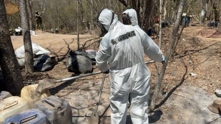 Aseguran laboratorio clandestino en Mocorito: hallan 600 kilos de metanfetamina y precursores químicos