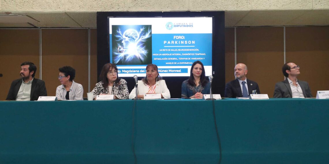 Legisladoras del PT llaman a generar conciencia y fortalecer políticas públicas de atención para personas con enfermedad de Parkinson