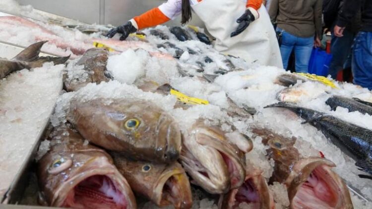 Pescados por menos de 150 pesos para Semana Santa en La Nueva Viga