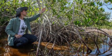 El gobierno de Yucatán y WWF protegerán 580 mil hectáreas