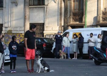 Se activa la alerta sísmica en la CDMX por temblor de magnitud 5.6 en Oaxaca