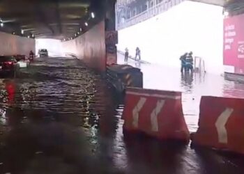 Inundaciones, árboles caídos y basura en las calles: siguen las afectaciones en CDMX tras las intensas lluvias