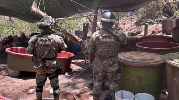 Hallan laboratorios clandestinos y decomisan 10 mil litros de precursores en Jalisco, Sinaloa y Nayarit; uno está ligado a «El Jardinero»