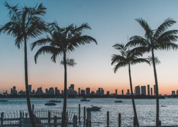 Despegar reporta un aumento en el interés de los mexicanos por viajar al Gran Premio de Miami