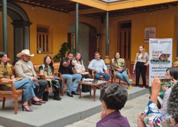 Impulsa Ricardo Moreno protección del cacomixtle y el tlacuache para conservar el equilibrio ambiental