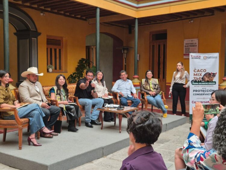 Impulsa Ricardo Moreno protección del cacomixtle y el tlacuache para conservar el equilibrio ambiental
