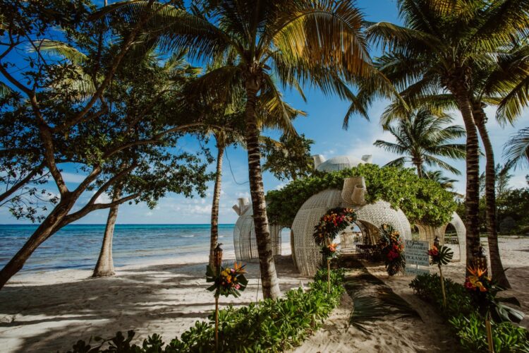 Sandos Caracol Eco Resort eleva el lujo todo incluido con experiencias de bienestar en conexión con la naturaleza