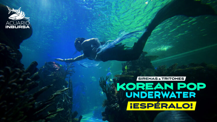 Sirenas y tritones con temática K-pop llegarán al Acuario Inbursa este 4 y 5 de julio