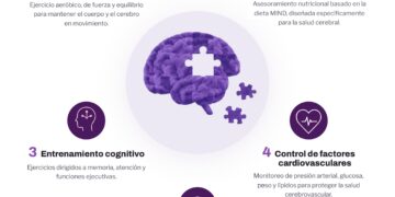 Estudio científico muestra que cinco hábitos cotidianos mejoran la salud cognitiva en adultos mayores