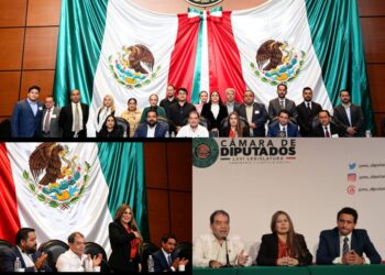 MARIE ACCOGLI PRESENTA “BRETTON WOODS 2.0” EN LA CÁMARA DE DIPUTADOS