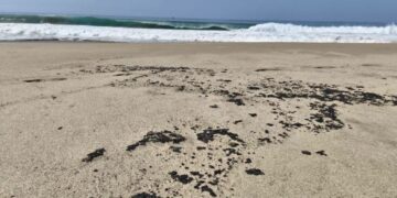 Nuevo derrame de hidrocarburo afecta cuatro playas de Salina Cruz, Oaxaca, en plena temporada vacacional