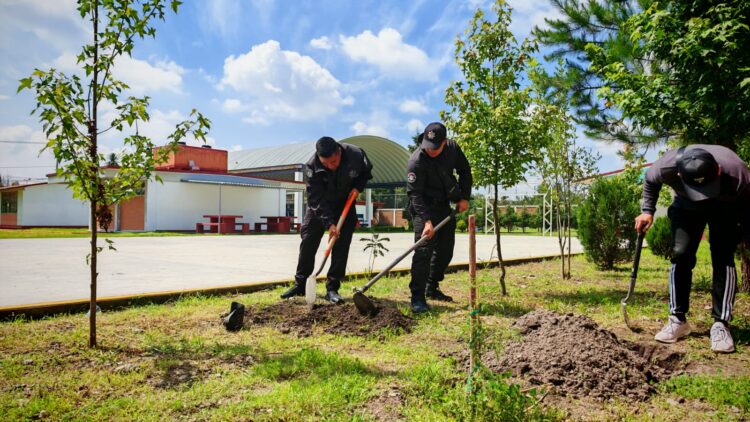 Impulsa Ricardo Moreno ambicioso programa de recuperación de pulmones verdes en la ciudad