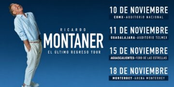 Borrador automático
