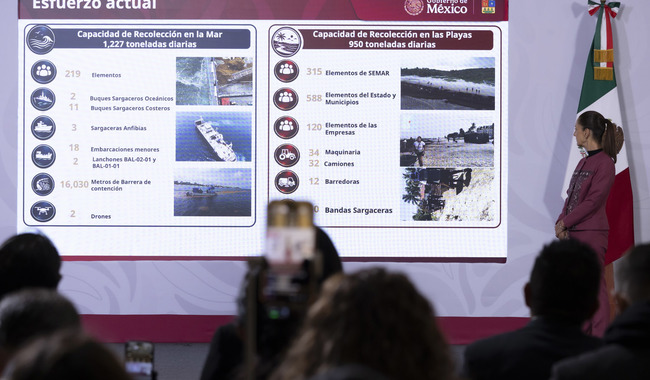 Sheinbaum anuncia inversión de 2 mil mdp para combatir el sargazo en Quintana Roo