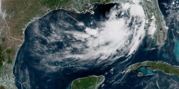 ‘Bertha’ toma fuerza en el golfo de México y se perfila como tormenta tropical