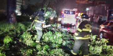 Trabajan equipos municipales durante la madrugada para brindar atención tras fuerte lluvia en Toluca