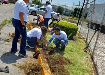 Avanza Toluca en la creación de jardines polinizadores, fomenta la recuperación de espacios públicos