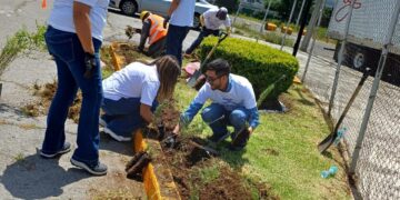 Avanza Toluca en la creación de jardines polinizadores, fomenta la recuperación de espacios públicos