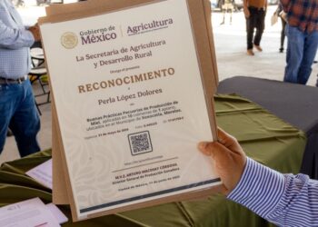 Fortalece Gobierno de Morelos capacidades del campo para impulsar Exportaciones Agroalimentarias