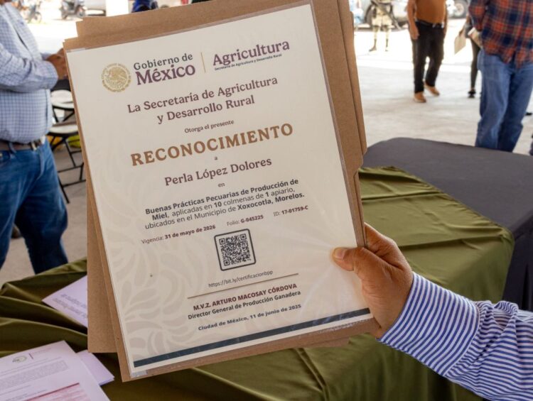 Fortalece Gobierno de Morelos capacidades del campo para impulsar Exportaciones Agroalimentarias