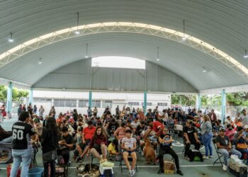 Realiza Gobierno de Morelos esterilizaciones gratuitas para perros y gatos como parte del Plan Cuautla