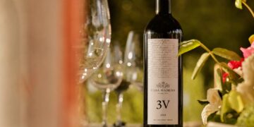 Casa Madero 3V 2023, reconocido como el Mejor Vino Mexicano en Francia