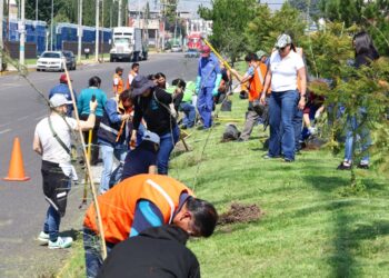 Fortalece Ricardo Moreno acciones de arborización para mitigar islas de calor urbanas
