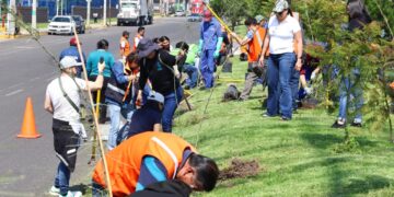 Fortalece Ricardo Moreno acciones de arborización para mitigar islas de calor urbanas