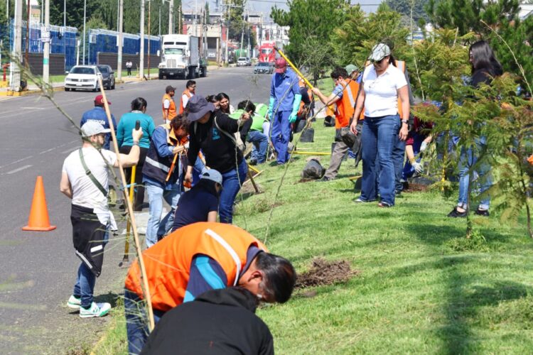 Fortalece Ricardo Moreno acciones de arborización para mitigar islas de calor urbanas