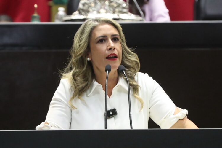 Proponen que personas candidatas a elección popular registren sus compromisos en un padrón operado por el INE